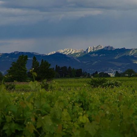 Hotel Maison D'Hotes Le Mas Des Vignes Rochegude  Zewnętrze zdjęcie