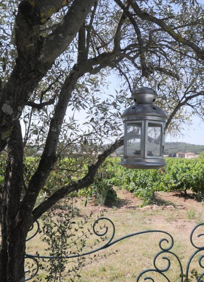 Hotel Maison D'Hotes Le Mas Des Vignes Rochegude  Zewnętrze zdjęcie