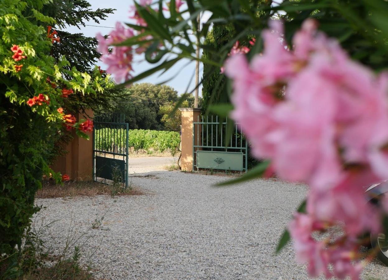 Hotel Maison D'Hotes Le Mas Des Vignes Rochegude  Zewnętrze zdjęcie