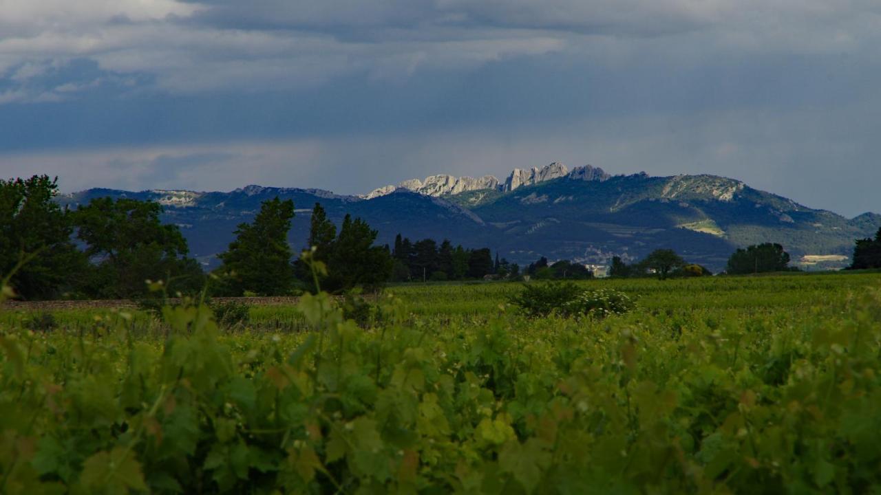 Hotel Maison D'Hotes Le Mas Des Vignes Rochegude  Zewnętrze zdjęcie